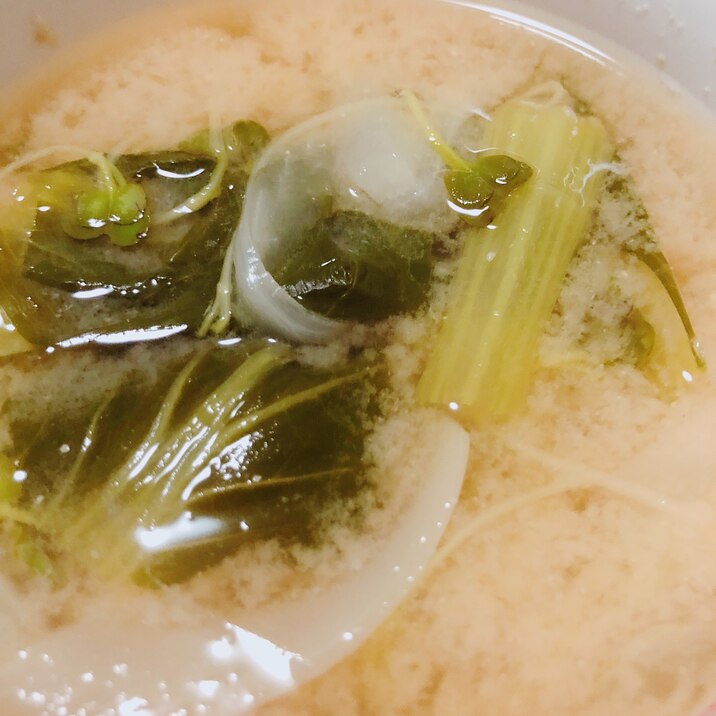 小松菜とカイワレ大根の味噌汁